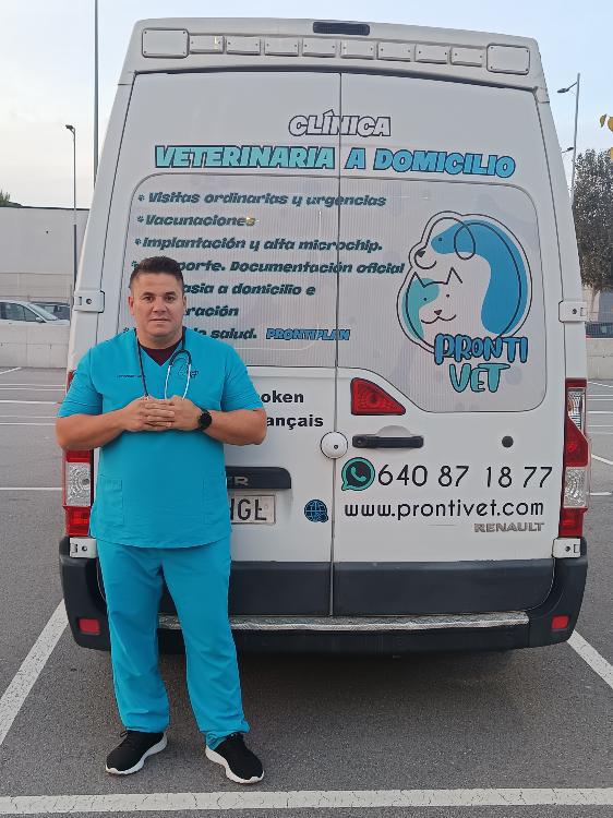 para perros y gatos
